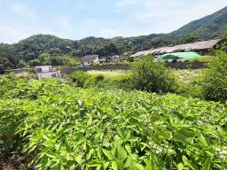 양평군 양서면 청계리 청계산 자락의 공기좋은 토지_썸네일_16